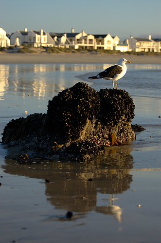 Paternoster