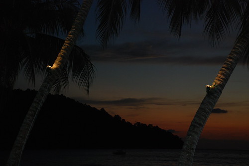trip travel sunset sea vacation beach nature geotagged ilovenature island nikon asia southeastasia pangkor palmtree malaysia nikor d80 nikond80 18135mmf3556g geo:lat=4253387 geo:lon=100546234
