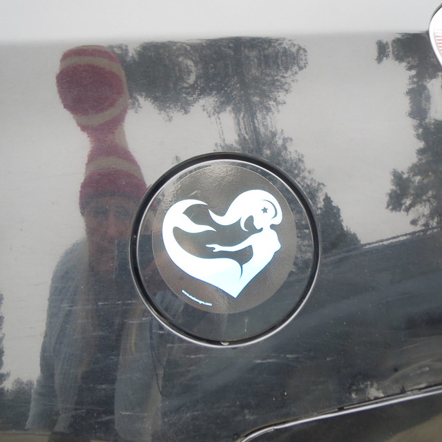 gas tank decal & my reflection