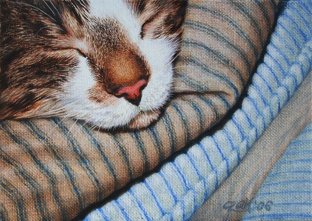 Cat Sleeping - Do NOT Disturb! Oil Painting On Canvas