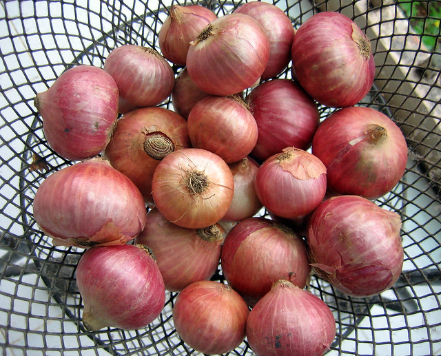 Onions in Grilled Basket
