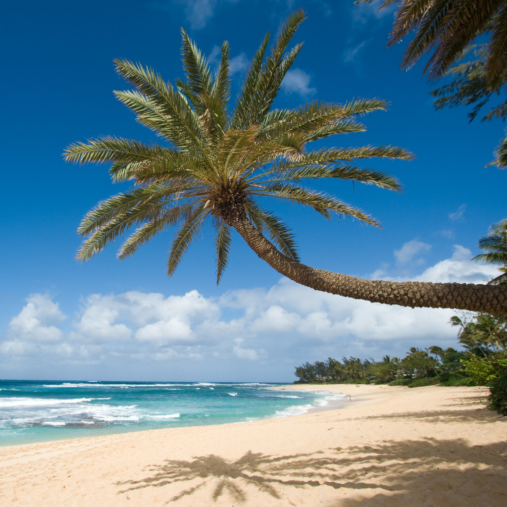 Sunset beach, oahu Hawaii