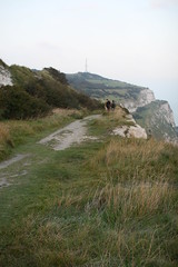 White Cliffs path