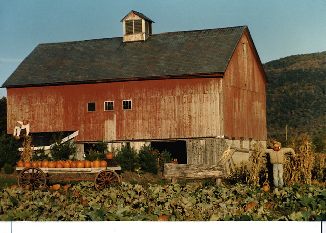 1982 2 Vermont Pumpkin Farm