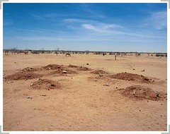 Cemetery, Iridimi refugee camp, Chad