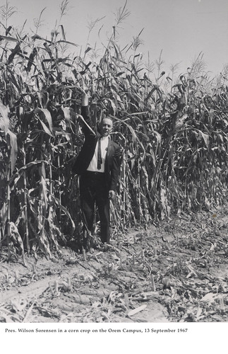 Sorensen in corn field