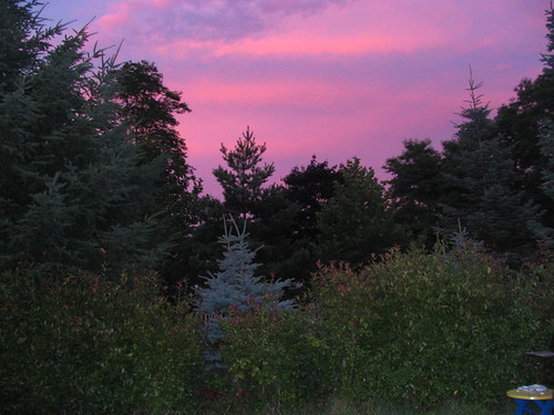 sunset washington tenino