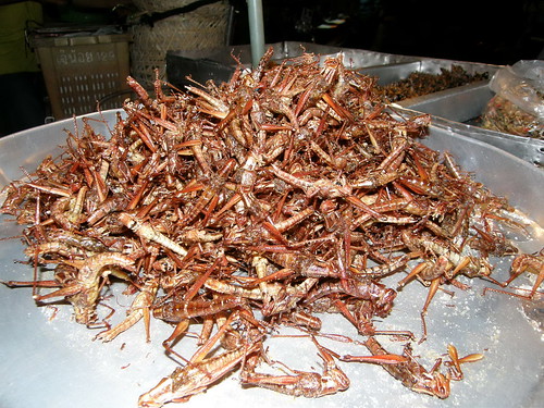 Bugs for sale at a Bangkok market