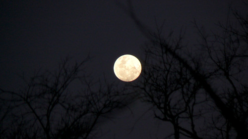 moon night lune noche luna nuit notte décima happinessconservancy justleo dialogosplanetarios