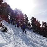 Skitour Roggenstock Feb 17'