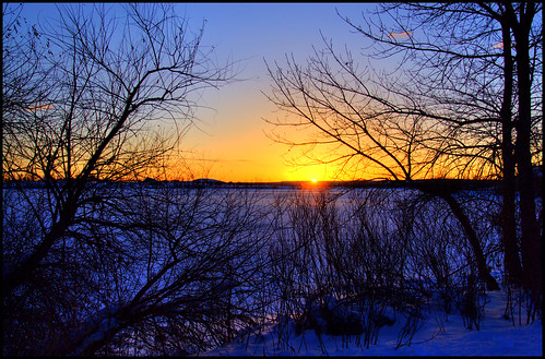 blue trees orange sun sunlight snow sunshine silhouette yellow sunrise landscape colorado branches denver littleton 200712