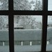 Snow January 31 2008  034