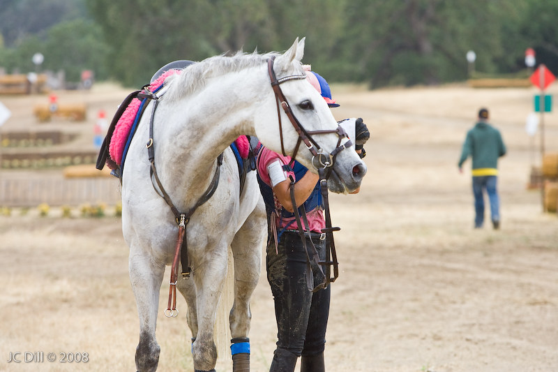 Eventing Rotational Fall Eventing Rotational Fall | Flickr