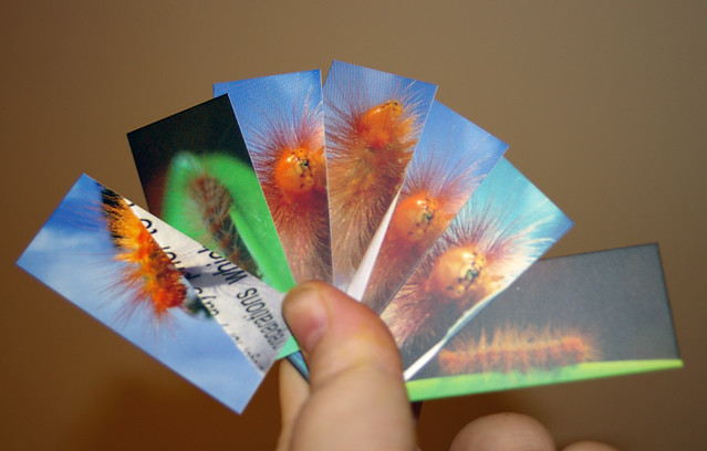 caterpillar set of moo mini cards to trade