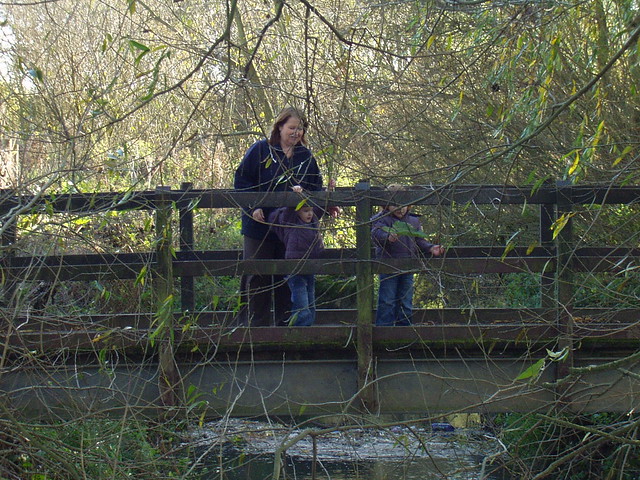 Bridge Two, Billingham Beck
