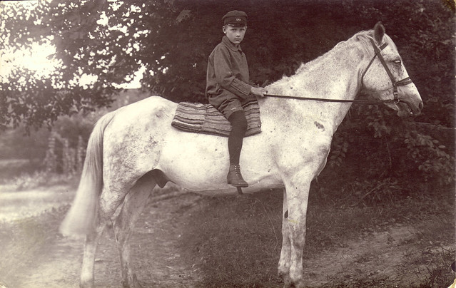 Boy on great white horse