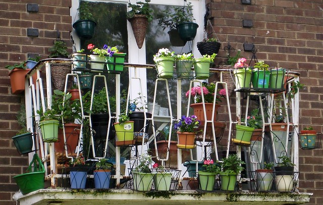 Greenfingers in Garston
