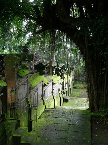 Balinese Temple Steps