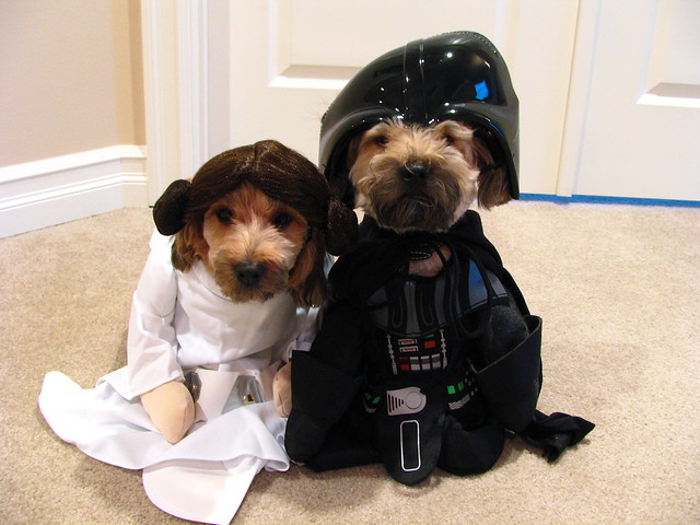 Princess Pixie and Wicket Vader (02)