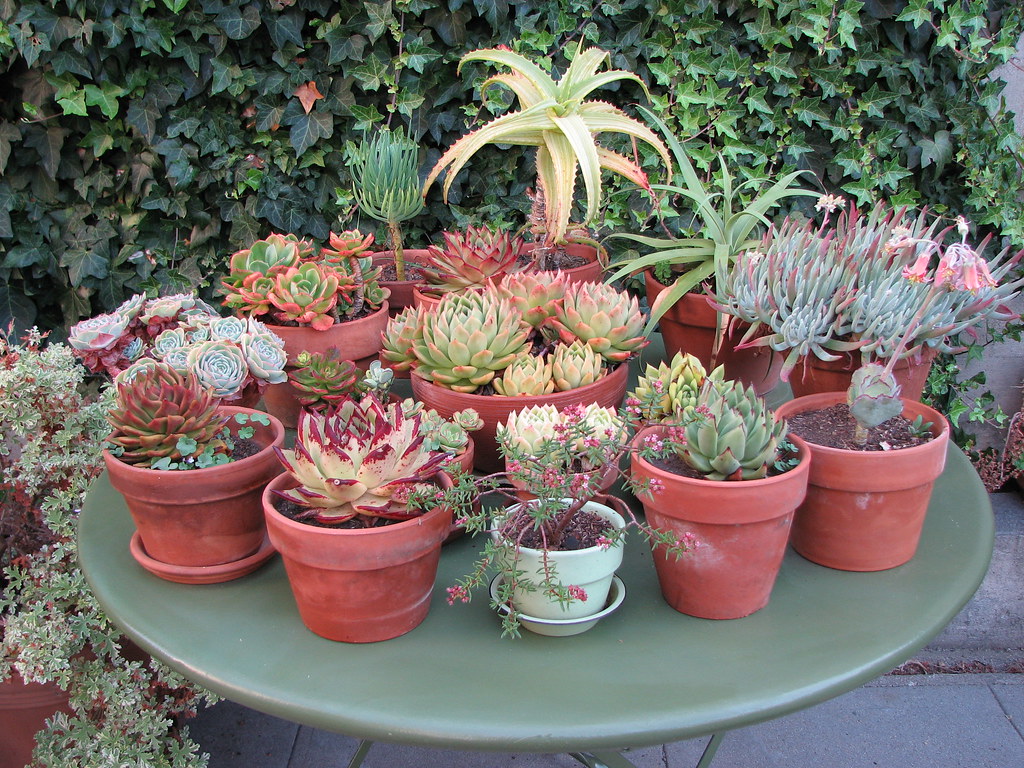 emergency crews respond to two crashes in royal national park