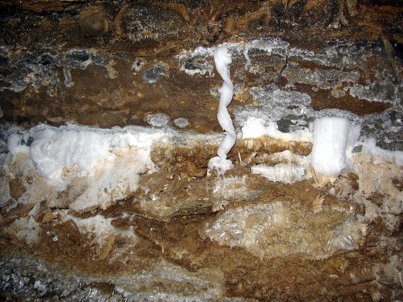 Gypsum Formation, Blue Spring Cave, White Co, TN