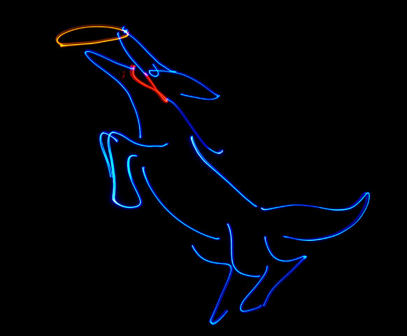 Doc and Frisbee - animated | Scroll down to watch Doc catch … | Flickr