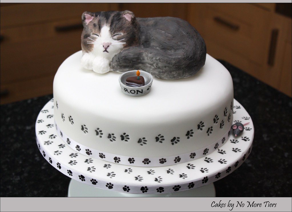 Dog And Cat Cake | Pet Animal Theme Cake | Order Custom Cakes in Bangalore  – Liliyum Patisserie & Cafe