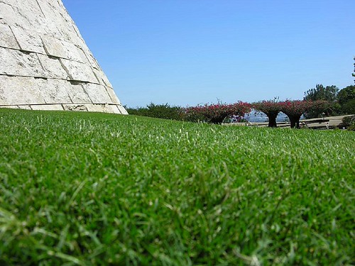Ant level with the lawn by Ninram, getty losangeles lawn grass