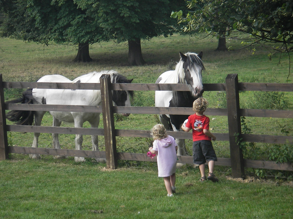 Horses and Children