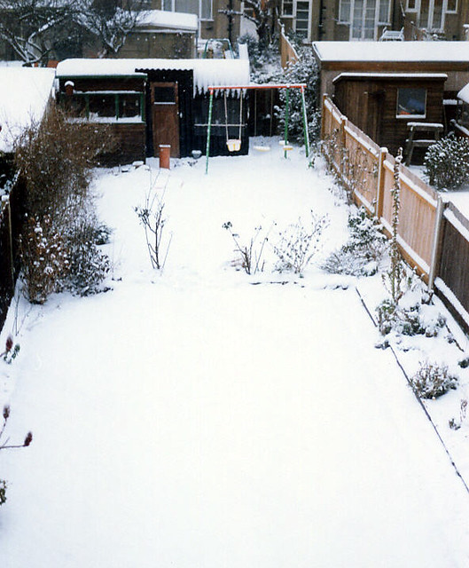 January 1991 fresh snow in my garden