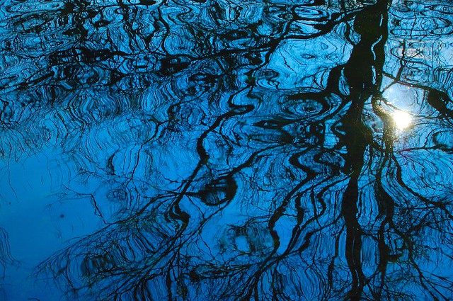Blue ripples.