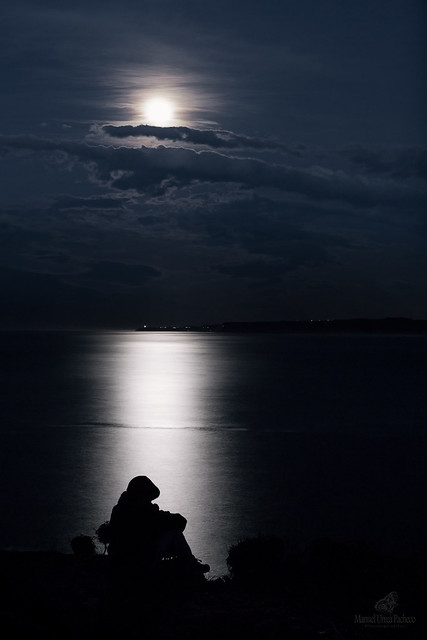 Loneliness Under The Moonlight