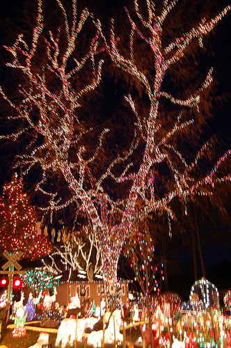 Cool Tree | A tree completely covered in lights in RIchmond,… | Flickr