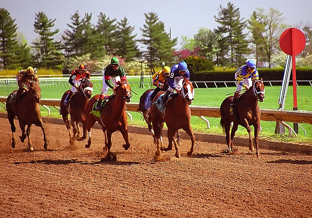 Country racing. Keeneland Horse Racing. Пойга. Kentucky Horse Park. Race file.