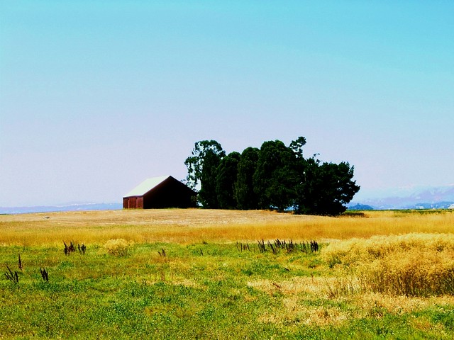 Barn on Lakeville Highway