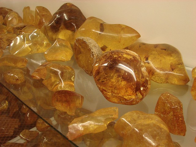 Kauri Gum - amber (copal)