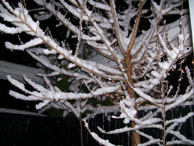 Winter Scene in Salt Lake City