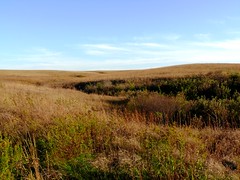 Prairie Hills