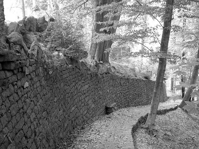 Valle Cervo - Muro a secco - Dry wall
