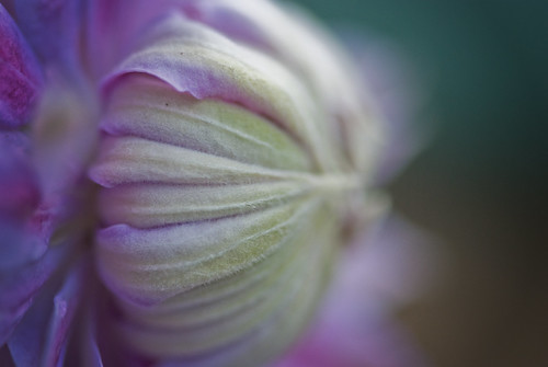 Out of Roundness by missamandarae07