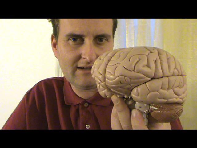 Come è fatto il cervello. Elementi di anatomia del Sistema Nervoso Centrale on Vimeo by Carlo Alfredo Clerici