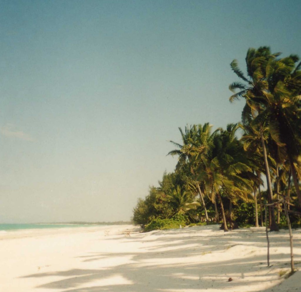 Zanzibar Coastline at High Tide