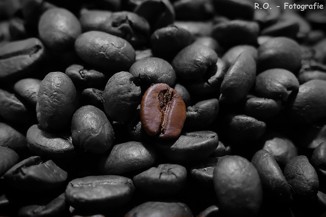 Kaffeebohnen / Coffee Beans
