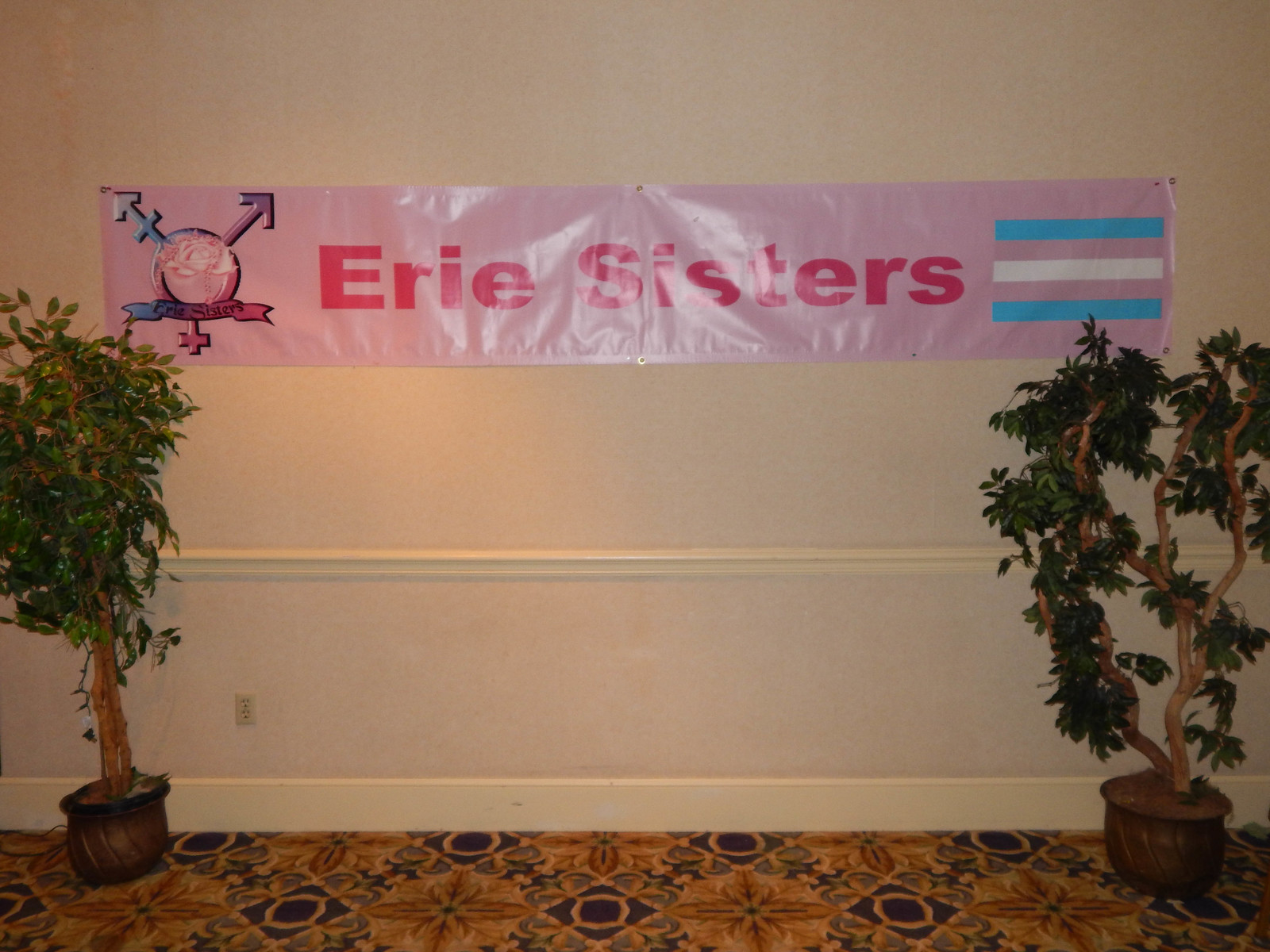 Erie Sisters banner