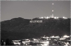 Hollywood Sign In The Night