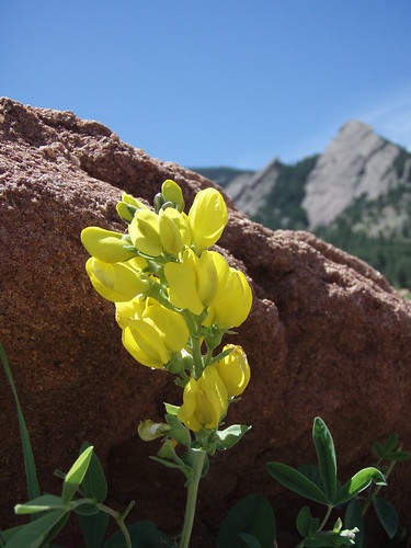 golden banner at the flat irons | emerson12 | Flickr