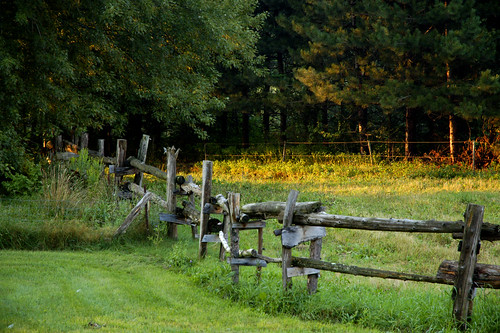 wood trees sunset summer green grass rural fence d50 geotagged outdoors wooden vert arbres québec été extérieur bois pelouse dunham herbe estrie clôture gazon cantonsdelest soleilcouchant boisé bromemissisquoi leniddepoule geo:lat=45157892 geo:lon=72861843