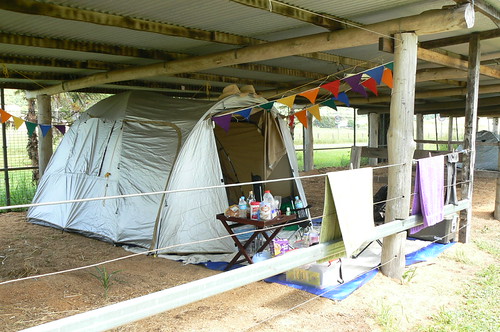27Dec2007 tent setup | by plainwrap