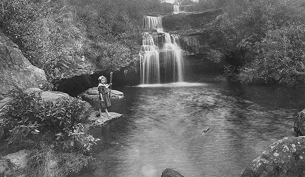 Frederica Falls at Lawson