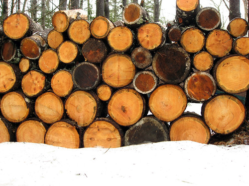 next winter's wood | by looseends